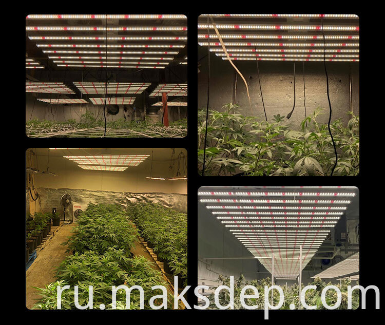 Garden Grow Light